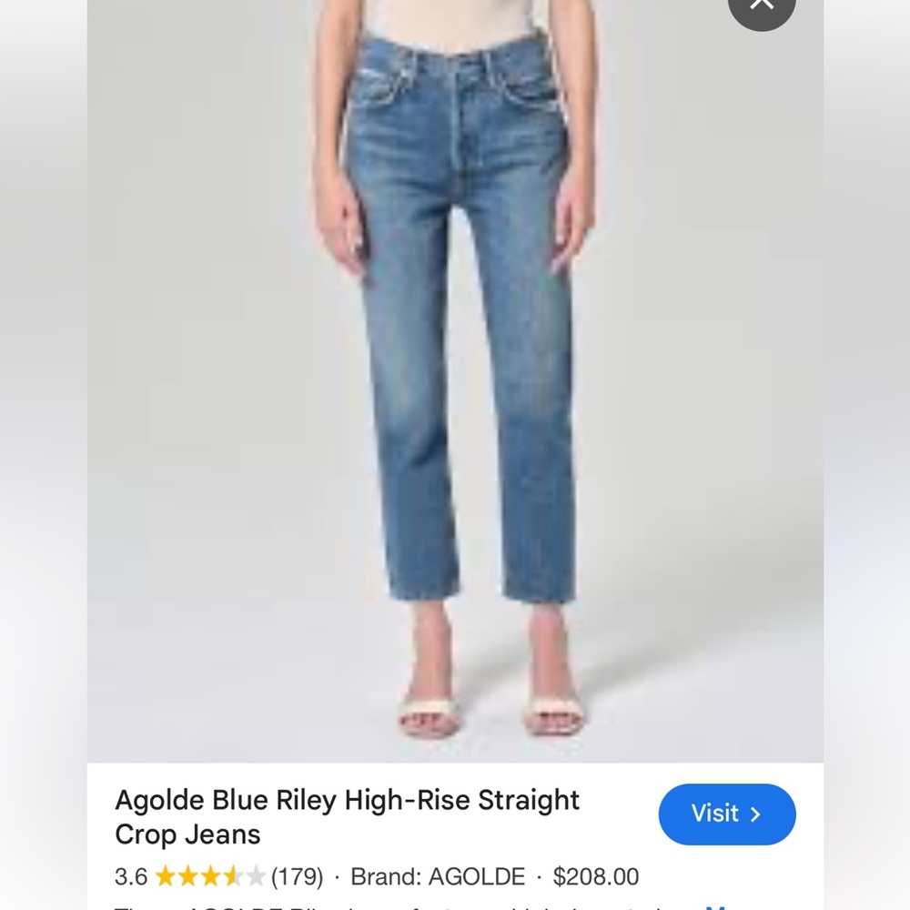NWT Agolde High-Rise Blue Riley Jeans straight long frayed plus size, hidden fly